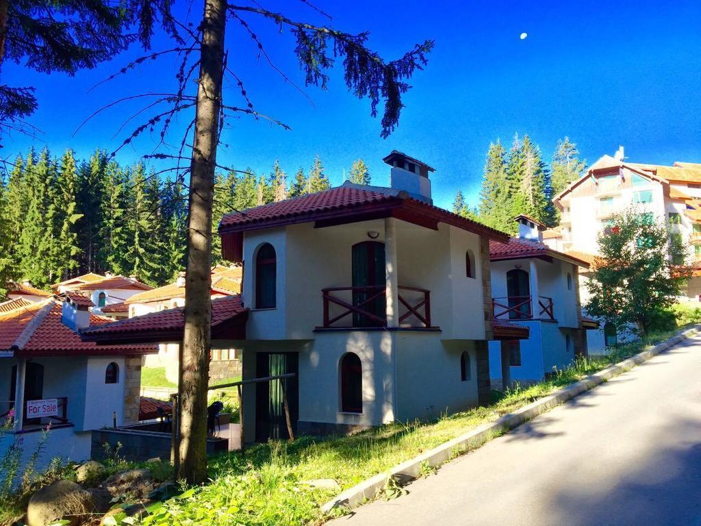 Forest Glade-Апартаменти И Стаи За Гости Pamporovo Exteriér fotografie