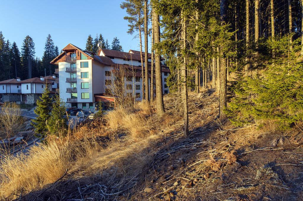 Forest Glade-Апартаменти И Стаи За Гости Pamporovo Exteriér fotografie