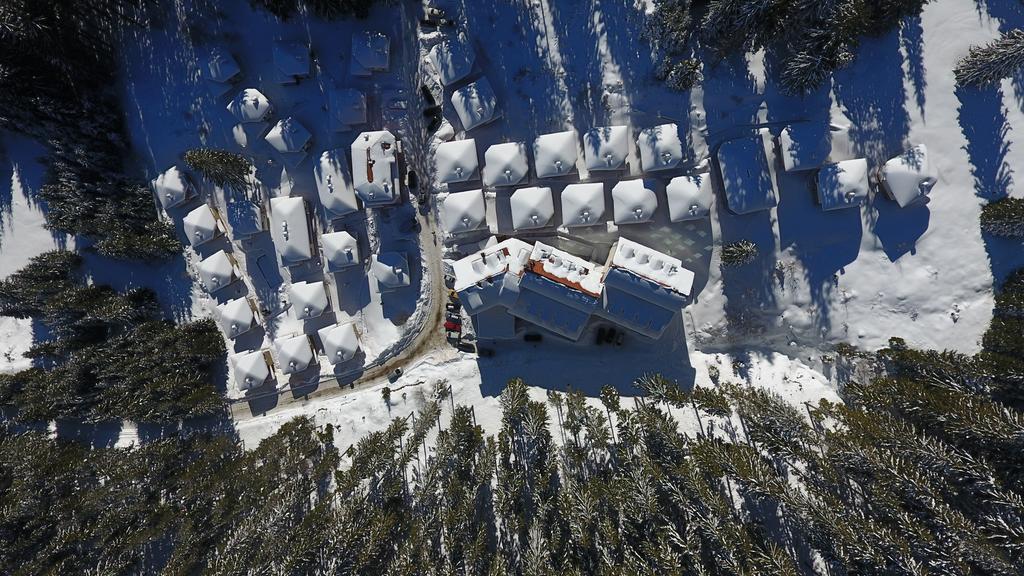 Forest Glade-Апартаменти И Стаи За Гости Pamporovo Exteriér fotografie